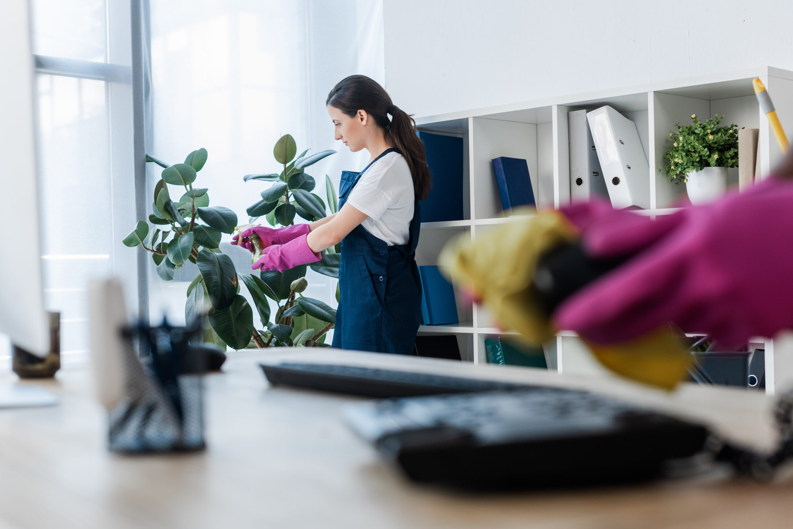 Selective focus of cleaner spraying plant near colleague cleaning telephone on office table